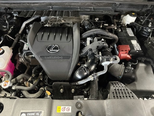 2025 Lexus NX 350 Premium