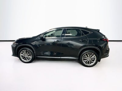 2025 Lexus NX 350 Premium