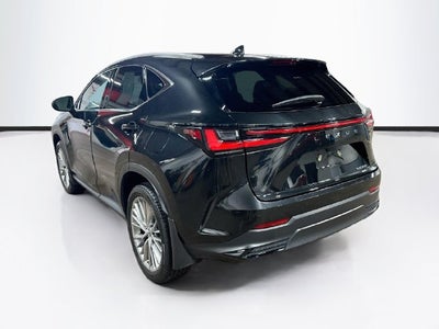 2025 Lexus NX 350 Premium