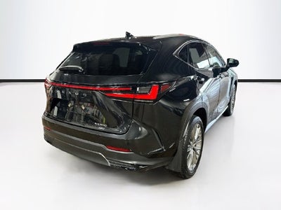 2025 Lexus NX 350 Premium