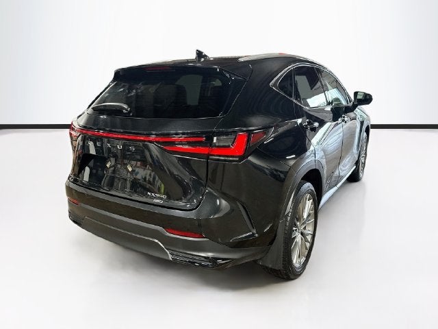 2025 Lexus NX 350 Premium