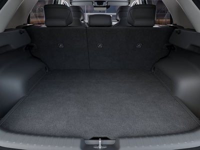 2025 Kia Niro EV Wind