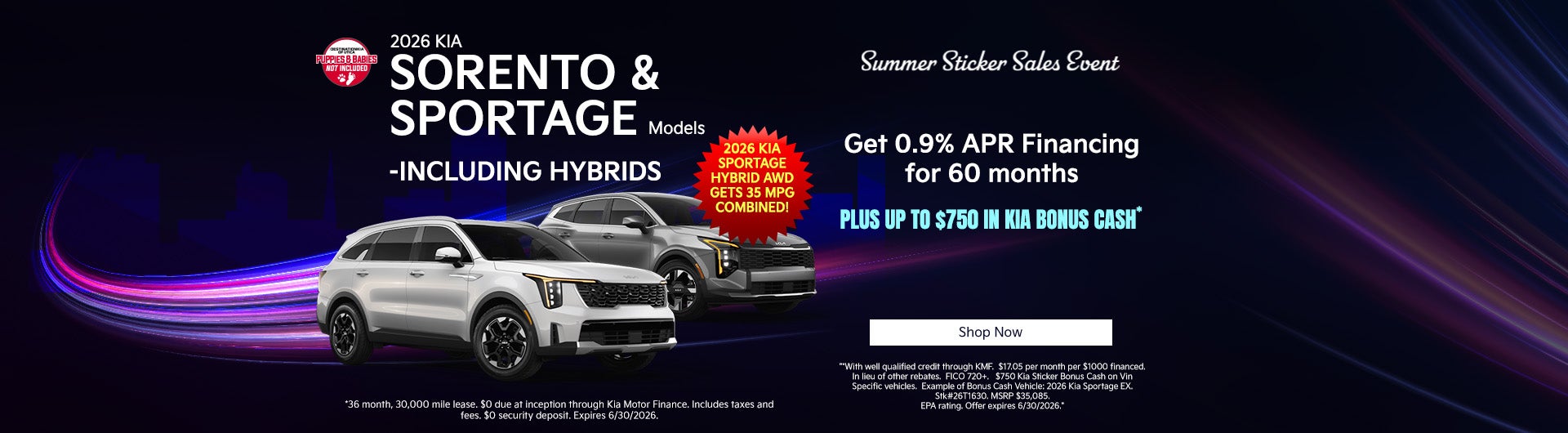 2026 Kia Sorentos and 2026 Kia Sportages - Including Hybrids
